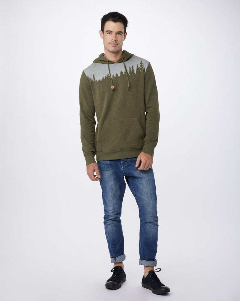 OLIVE NIGHT_gallery