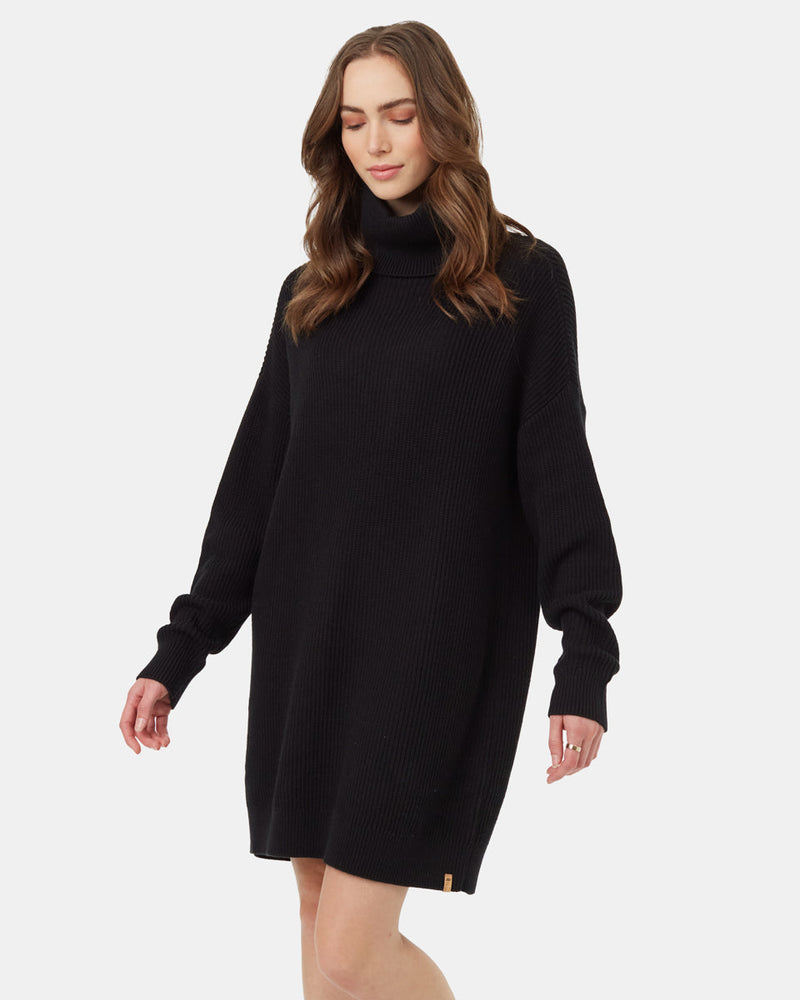 Highline Oversized Turtleneck Dress-